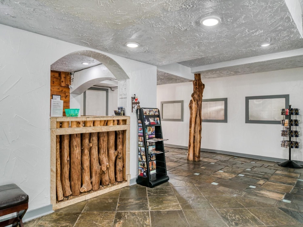 逍遥酒店(OYO Hotel Houston, TX near Medical Center/NRG Stadium) 图片4