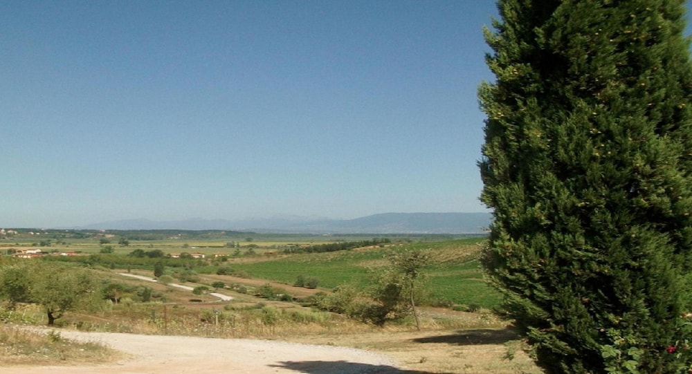 Azienda Agricola Musignano 45/50