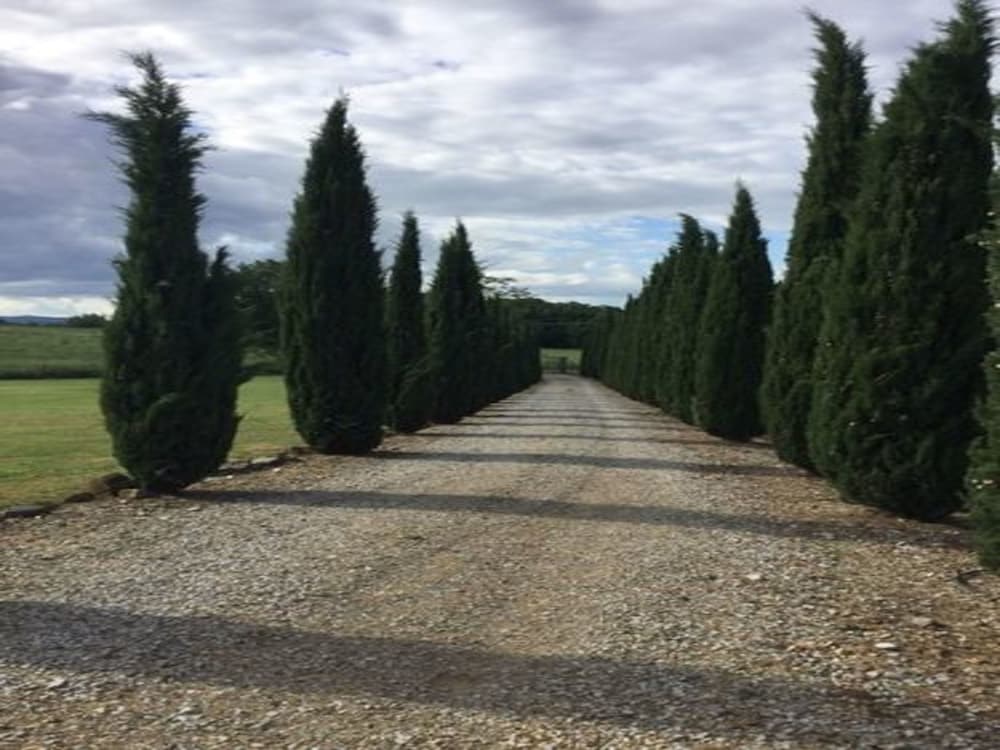 Agriturismo Podere Delle Querci 40/47