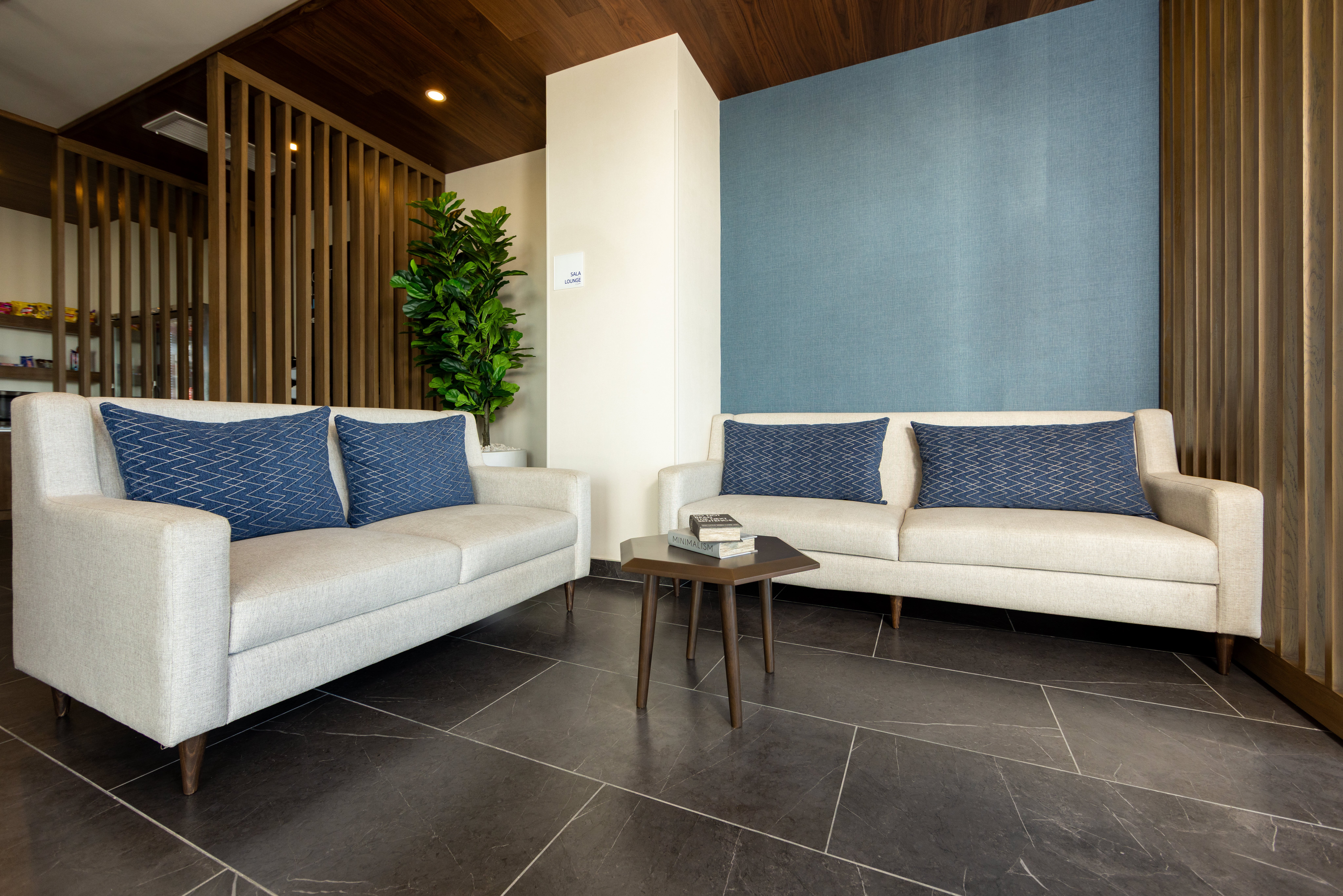 Holiday Inn Express & Suites MAZATLAN 33/50