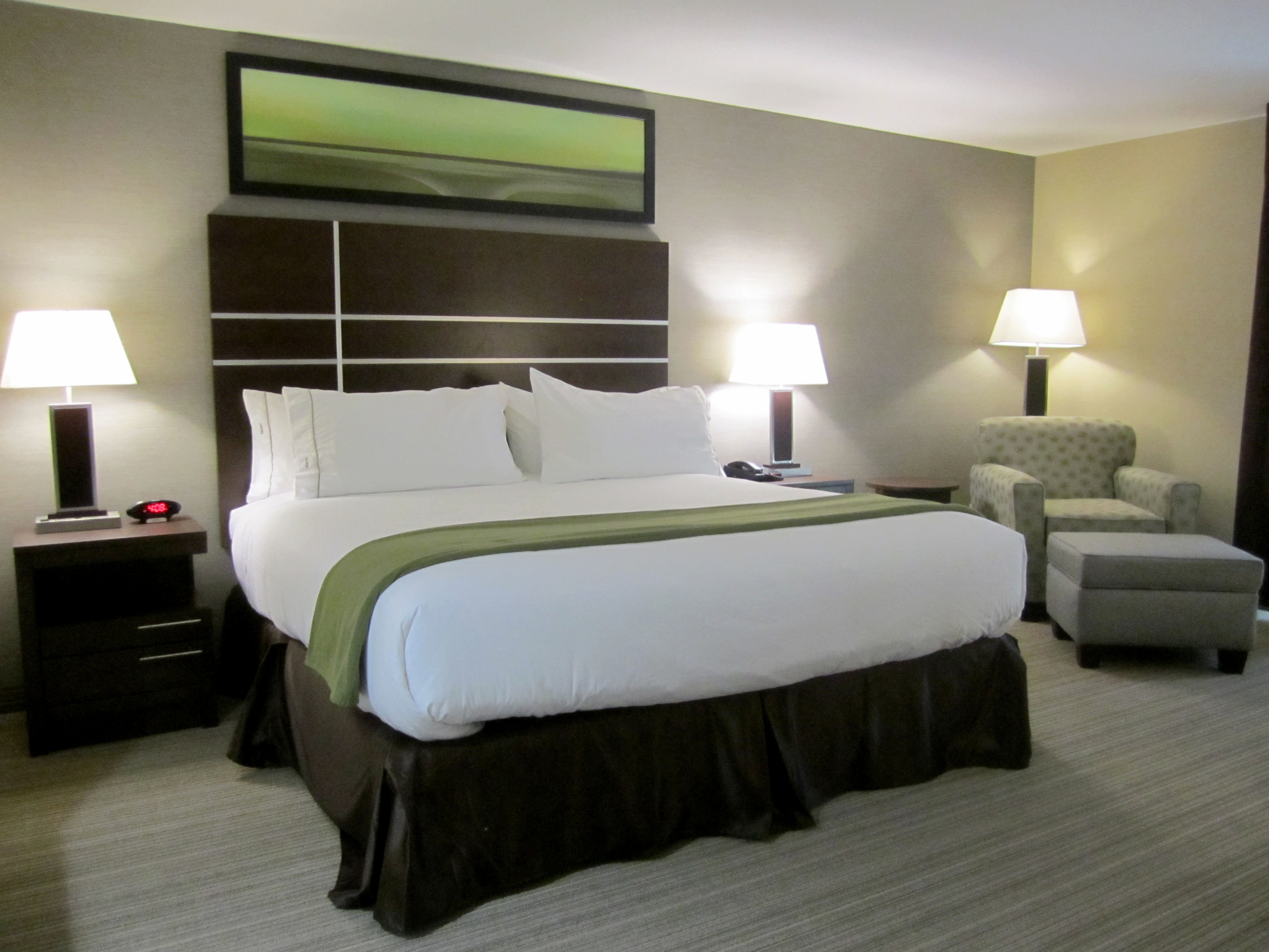 غرفة بسرير كينج لذوي الإعاقة، HOLIDAY INN EXPRESS GOLDEN KICKING HORSE 2/2