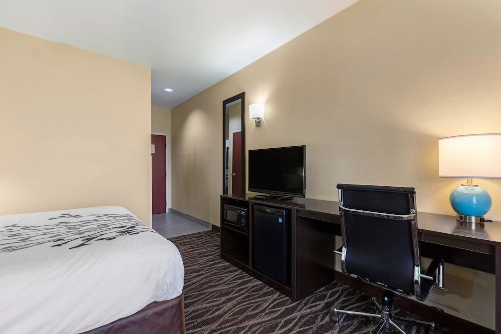 Sleep Inn & Suites Millbrook - Prattville 13/43