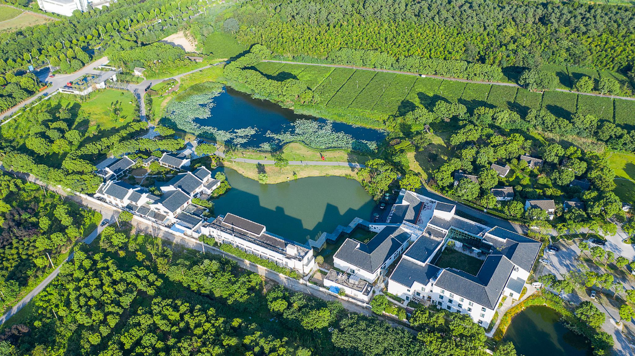 Jiulong Bay Garden Rezen Hotel 24/25