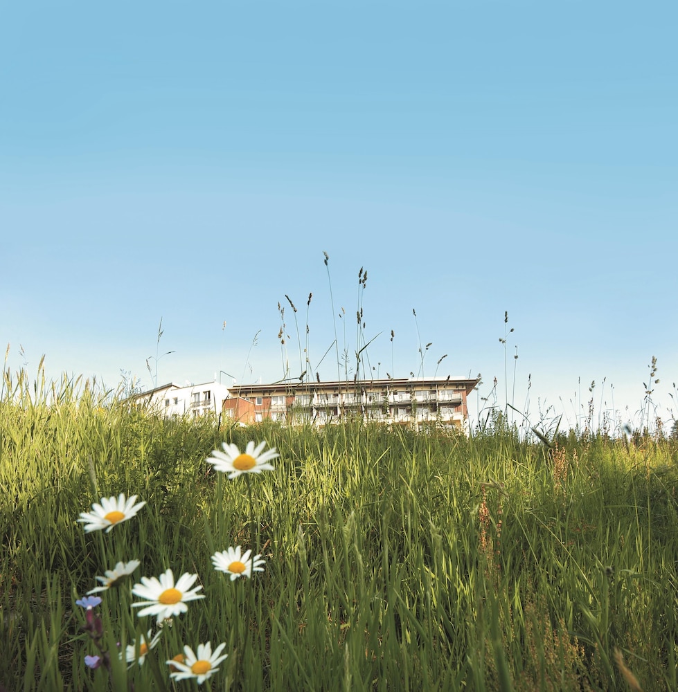 Wellness- & Nationalpark Hotel Schliffkopf, BWSC 56/60