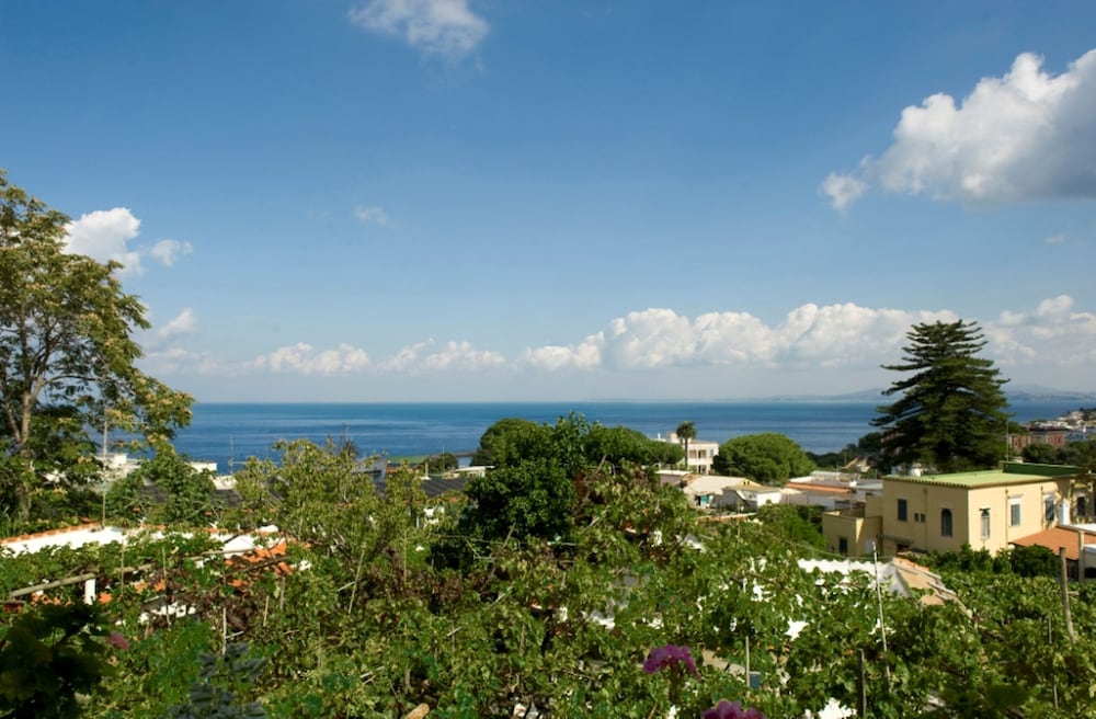 surroundings