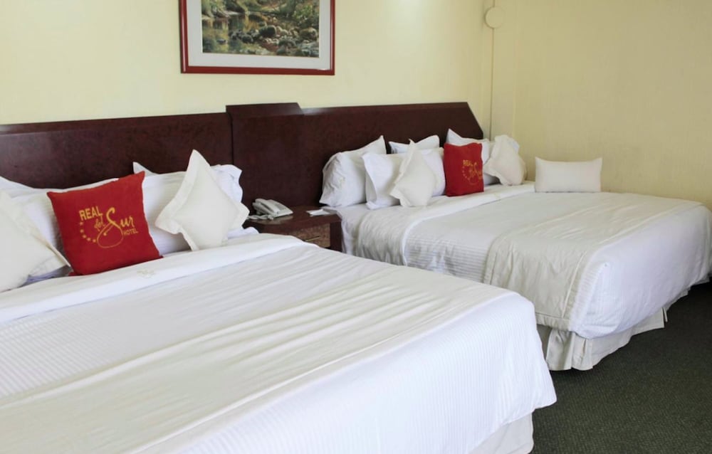 Real Del Sur Hotel 6/50