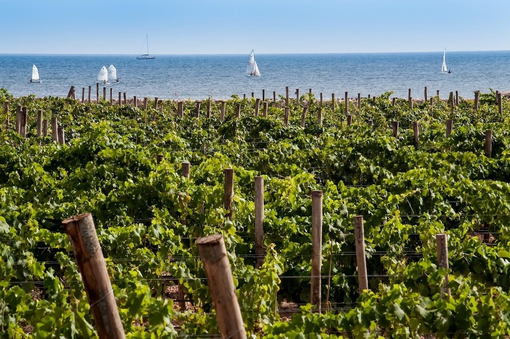Calamoni Di Favignana Apartments & Wine Experience 13/16