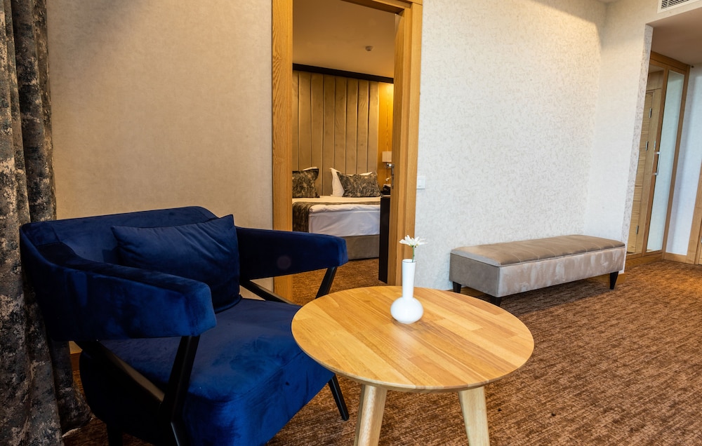Premium Hotel Ganja 28/50