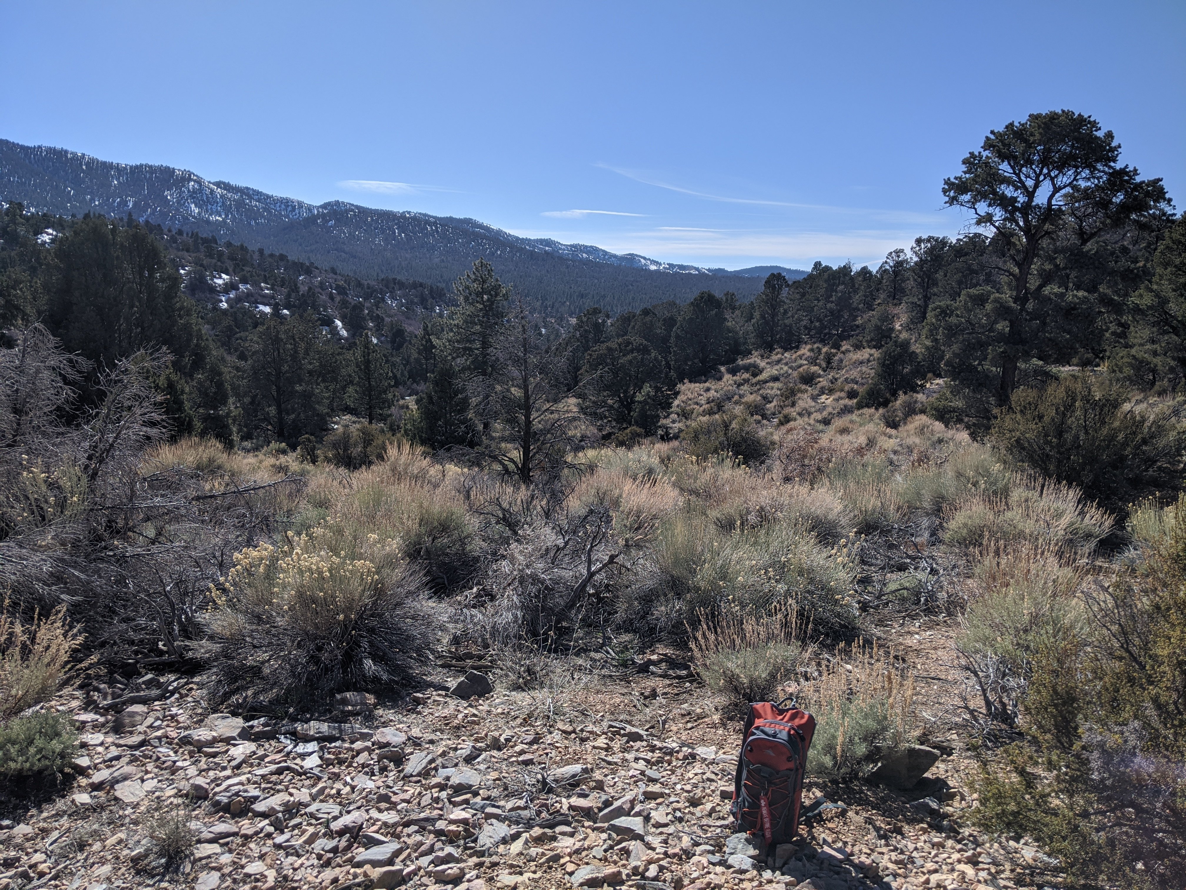 Big Bear Frontier 48/55