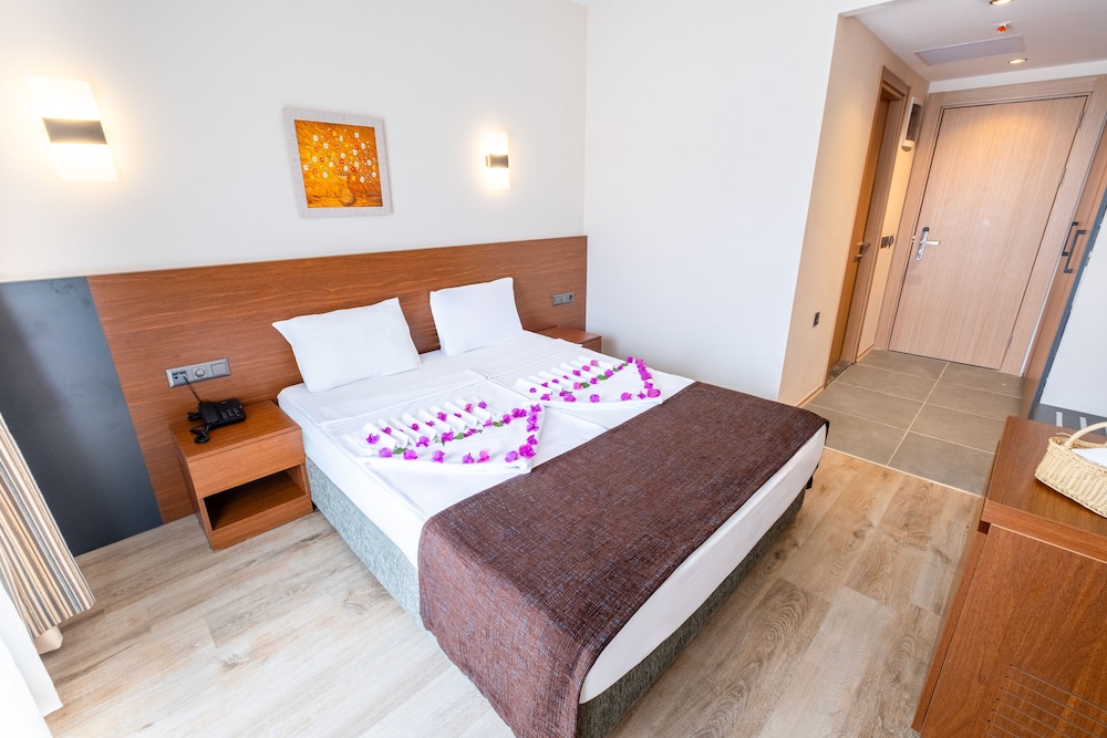 Viking Express Hotel 14/50