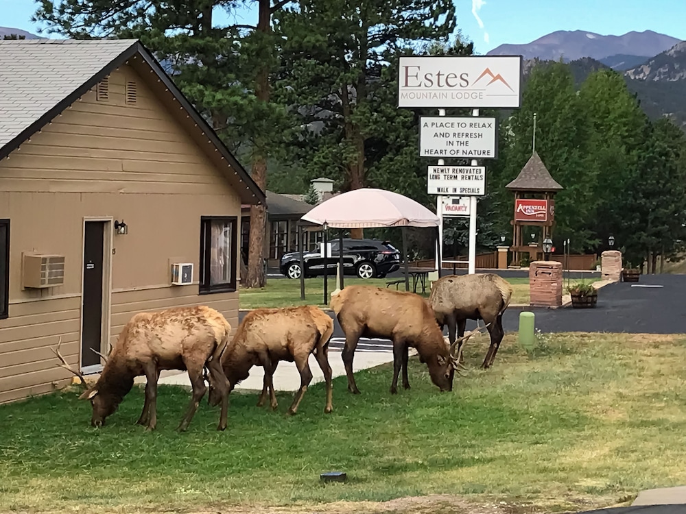 Estes Mountain Inn 65/70
