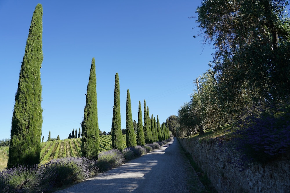 Dievole Wine Resort 66/76