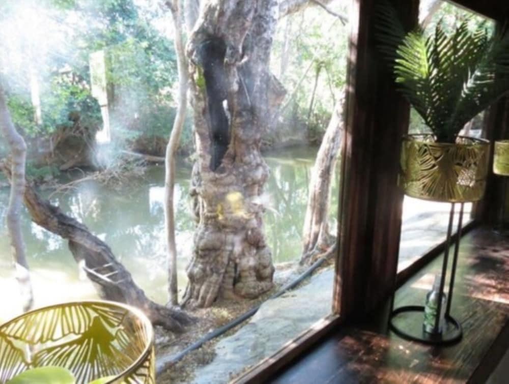 Bushmans Rock Country Lodge 20/50