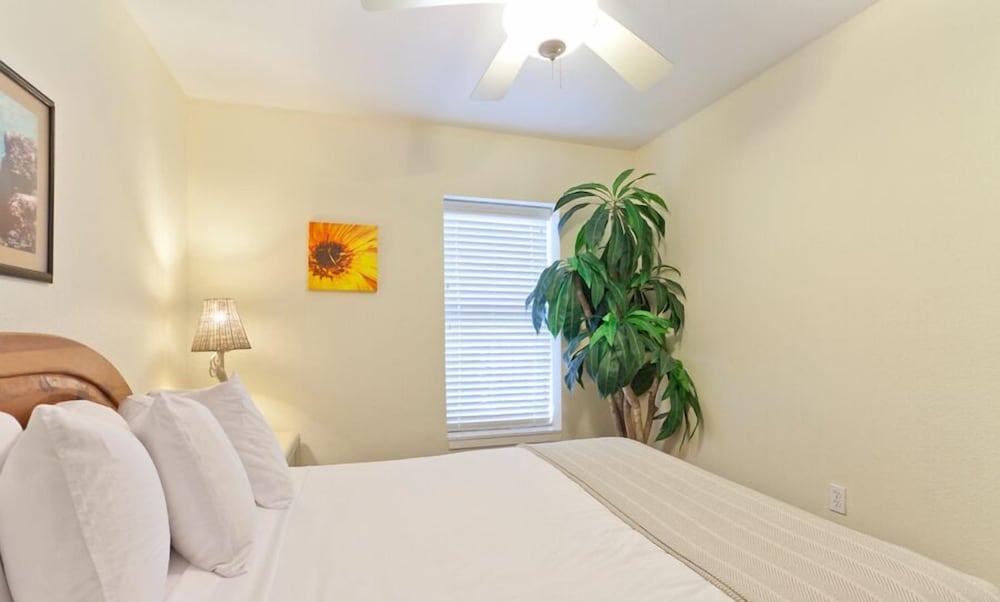 Saida Towers By Padre Island Rentals 11/49