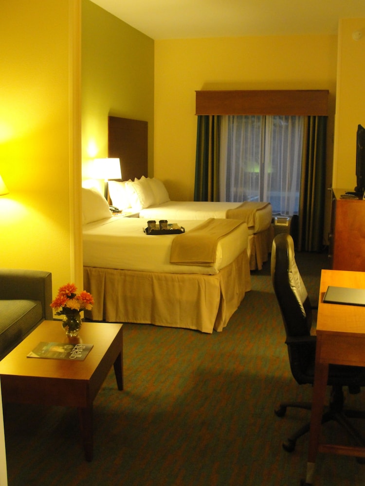 Holiday Inn Express Hotel Suites Atlanta East Lithonia 30/66