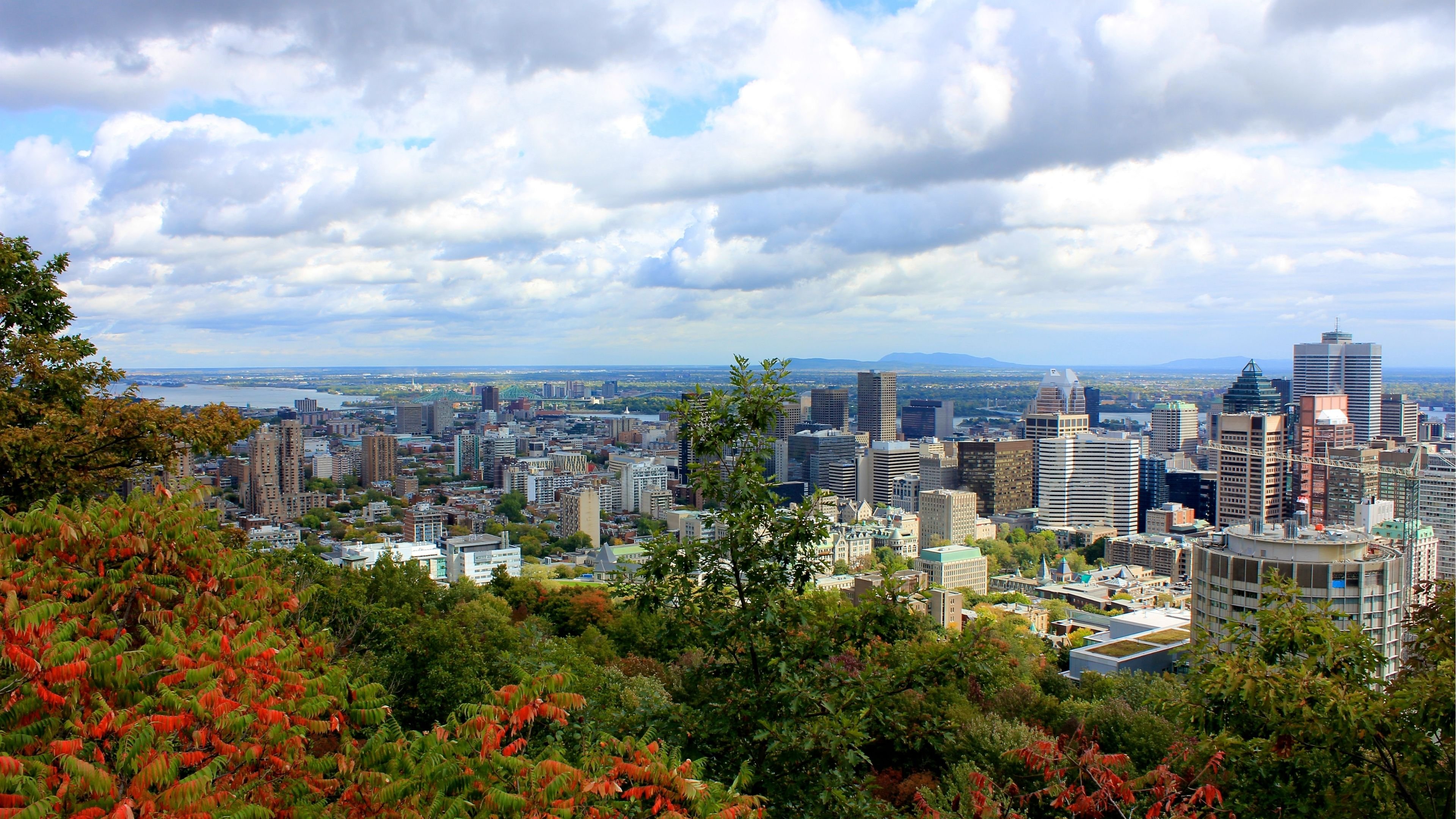 Staybridge Suites Montreal Airport - St-Laurent 44/50