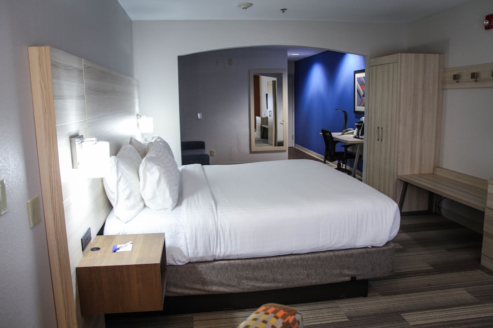 Holiday Inn Express Hotel Suites Athens 17/61