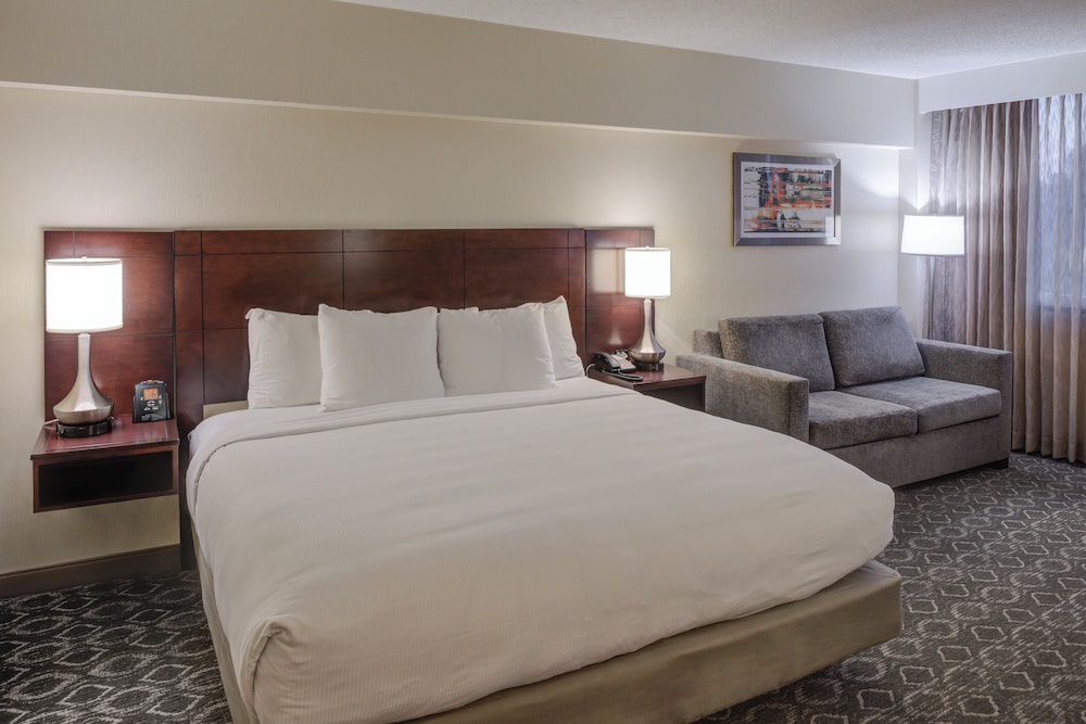 The Brookhaven Atlanta Hotel 19/52