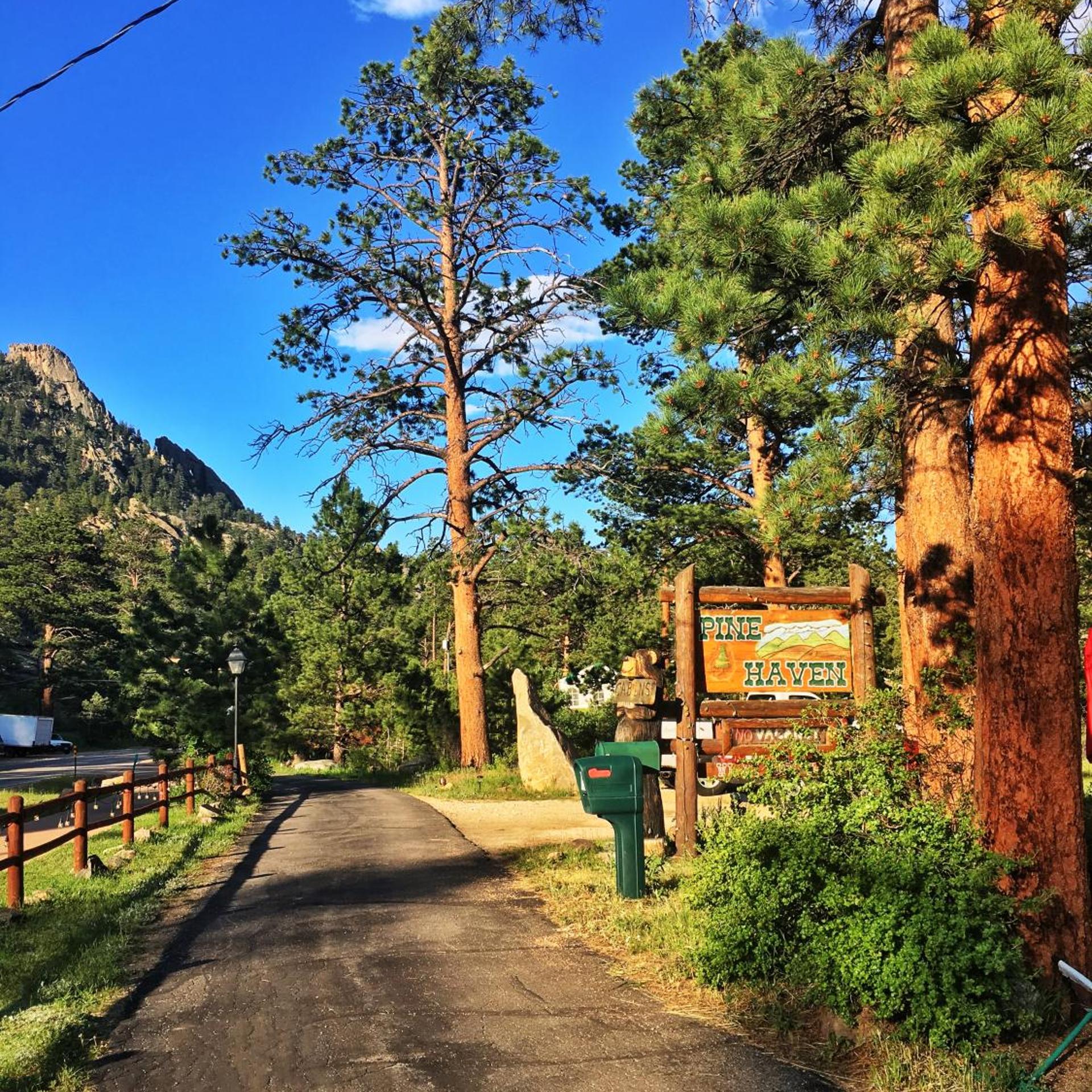 Pine Haven Resort 44/50
