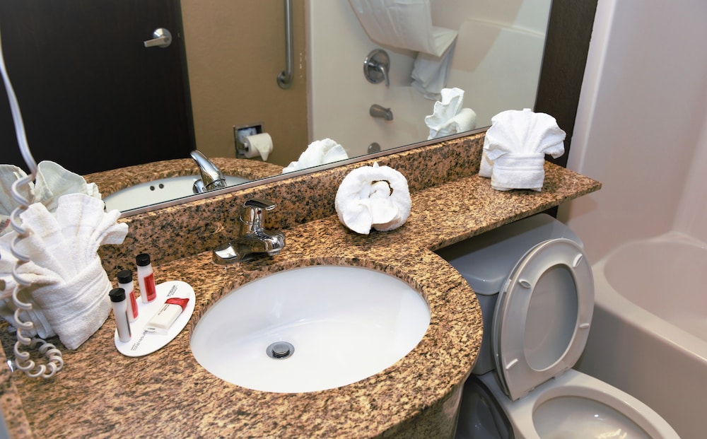 Microtel Inn & Suites by Wyndham Jacksonville Airport 31/40