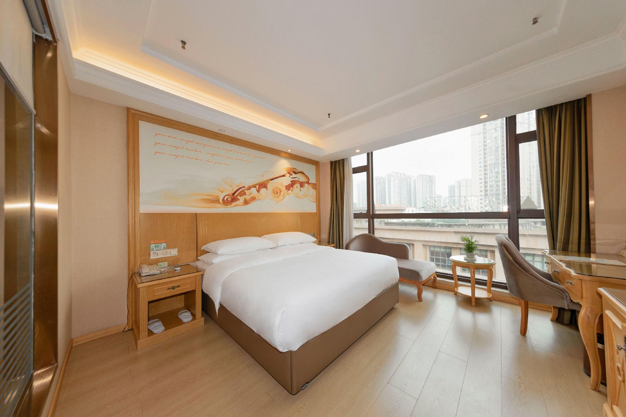 Vienna Hotel (Chongqing Dazu Stone Carving) 18/31