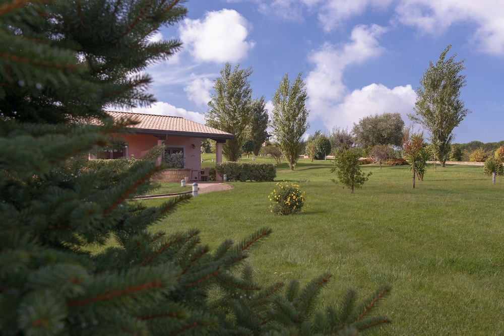 surroundings