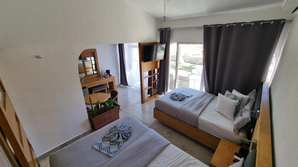 Renovated, Superior, 2 Double Beds، Buena Vista Oceanfront & Hot Springs Resort 3/10
