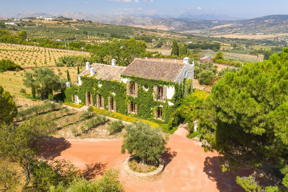 Cortijo LA Organic 34/48