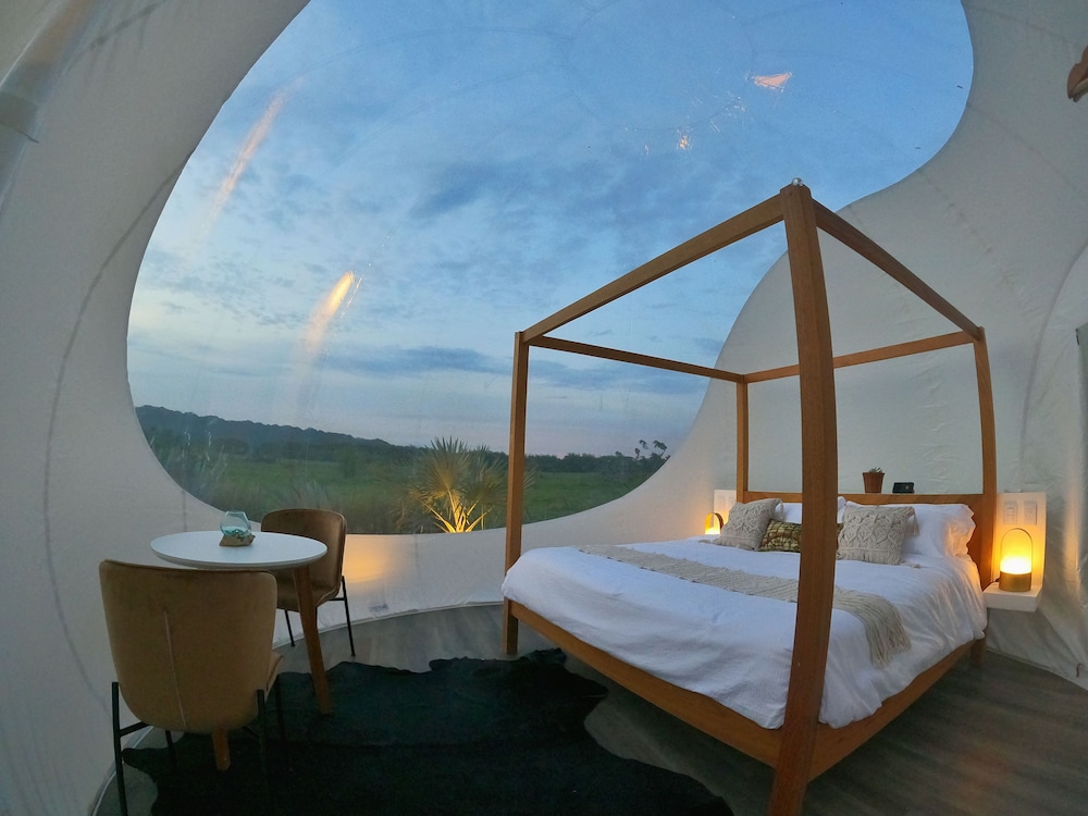 Green Land Bubble Glamping 22/60