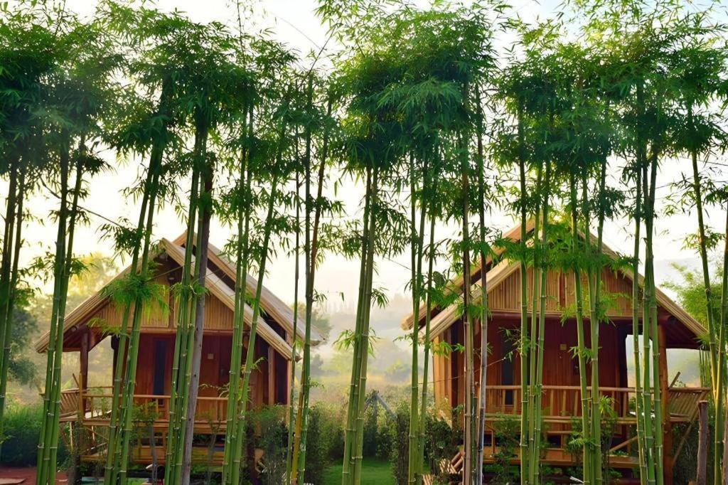 Baan Suan Pai Noppakao 42/63