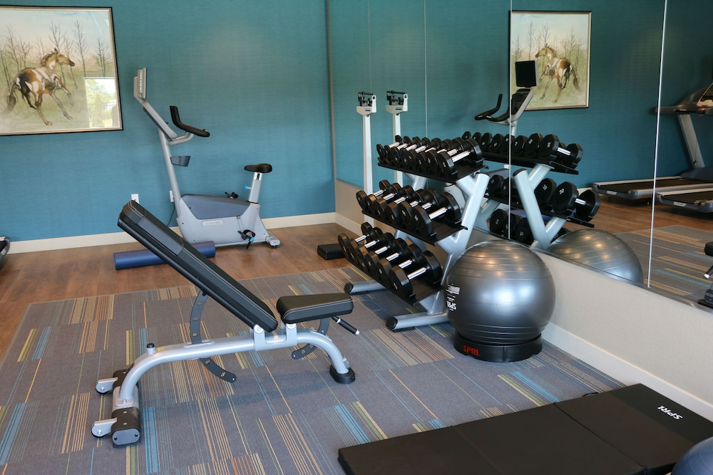 HOLIDAY INN EXPRESS & SUITES HENDERSONVILLE SE - FLAT ROCK 24/52