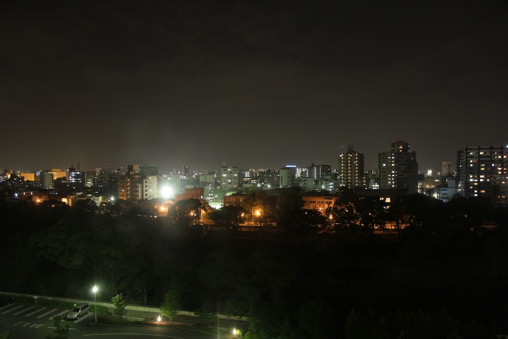 Mielparque Kumamoto Hotel 30/45