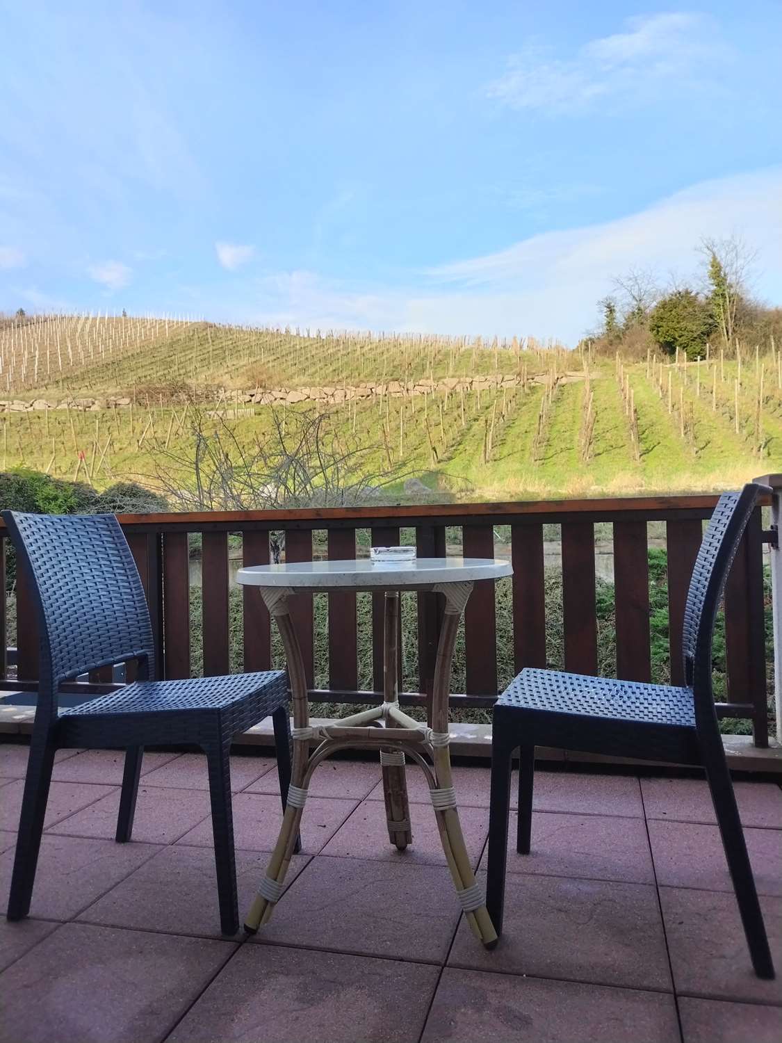 Best Western Plus Hotel and SPA Le Schoenenbourg 30/45