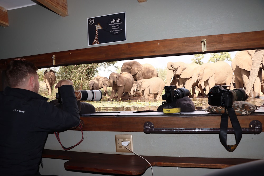 Antares Bush Camp & Safaris 3/50