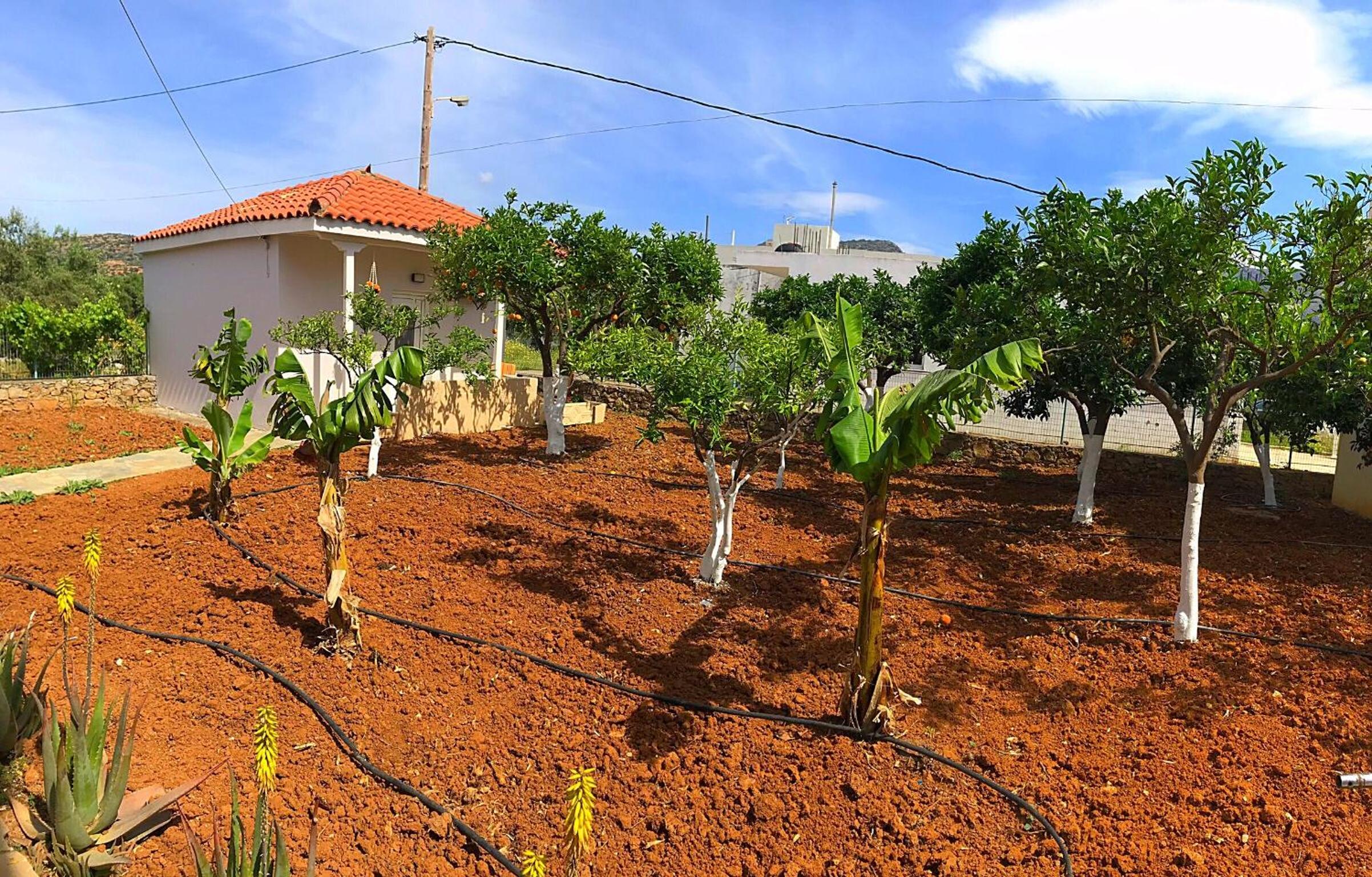Maria Hotel 41/56