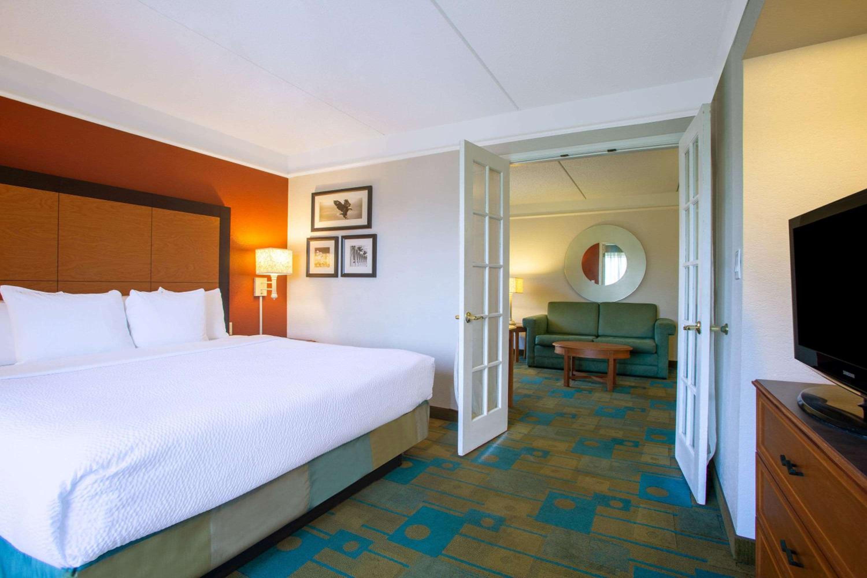 Suite, King Bed