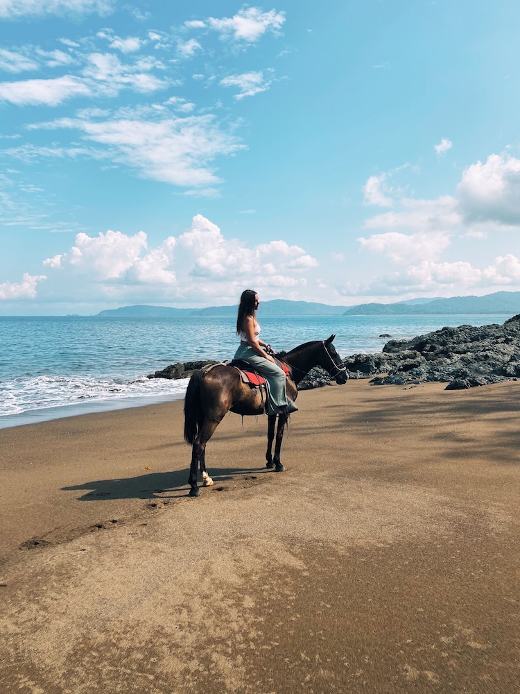 Copa De Arbol Beach &amp; Rainforest Resort 47/50