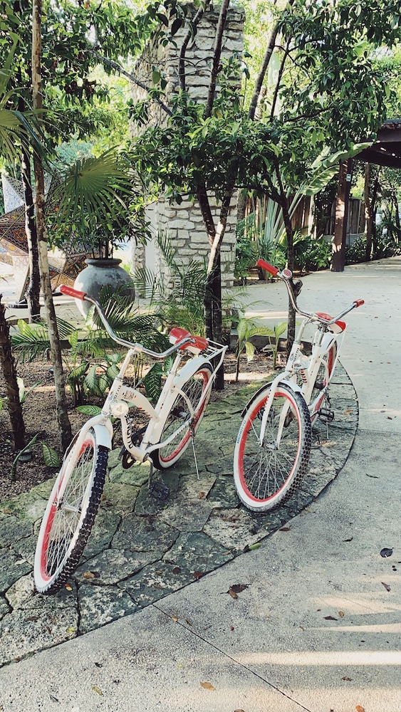 Kimpton Aluna Resort Tulum 41/48