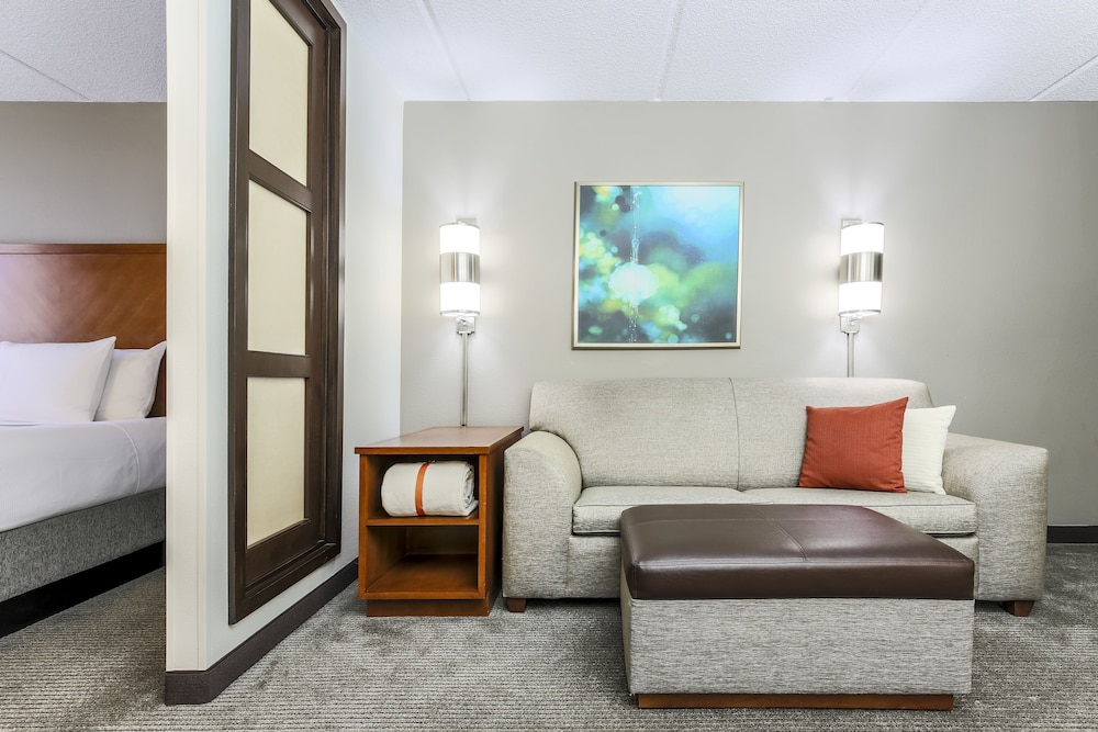 Hyatt Place Fort Worth/Hurst 43/78