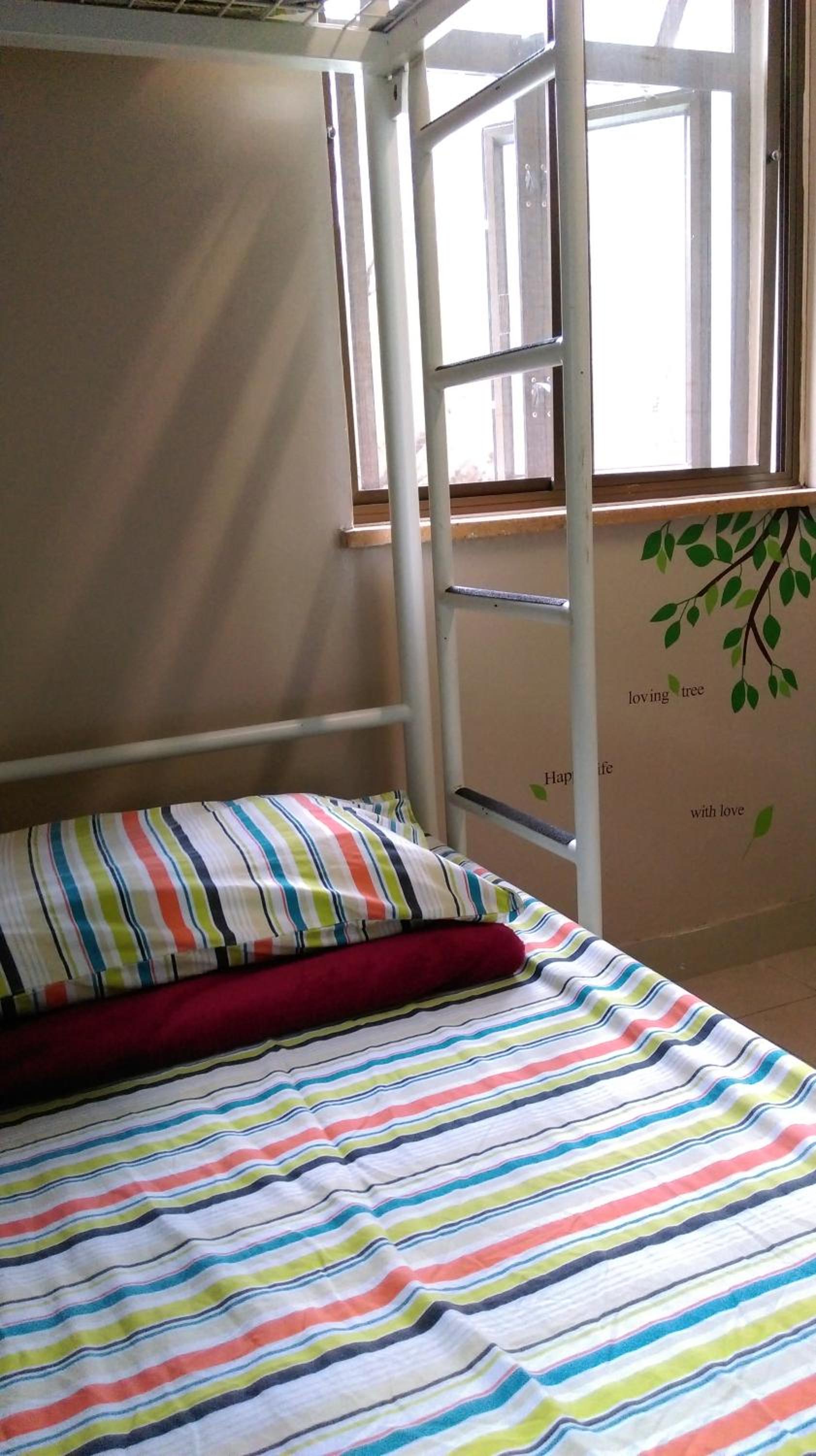 Private, Mixed Dorm, 4 People, Shared Bathroom
