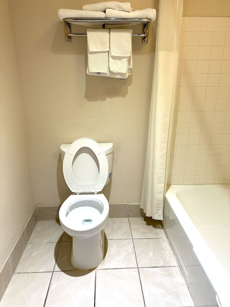 Standard, 2 Queen Beds, Pet Friendly, Wyndham Garden Salina Conference Center 8/10