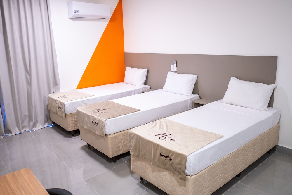 PALMLEAF GRAND PREMIUM 8/52
