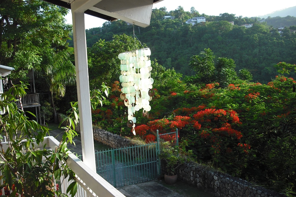 Neitas Nest Jamaican Bed And Breakfast 18/22