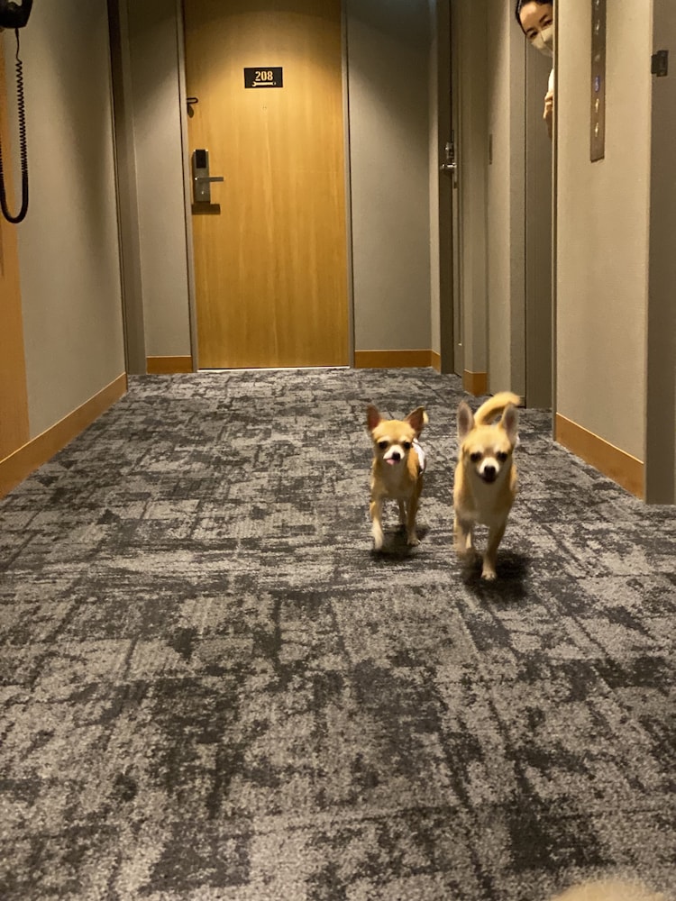 ICI Hotel Asakusabashi 44/55