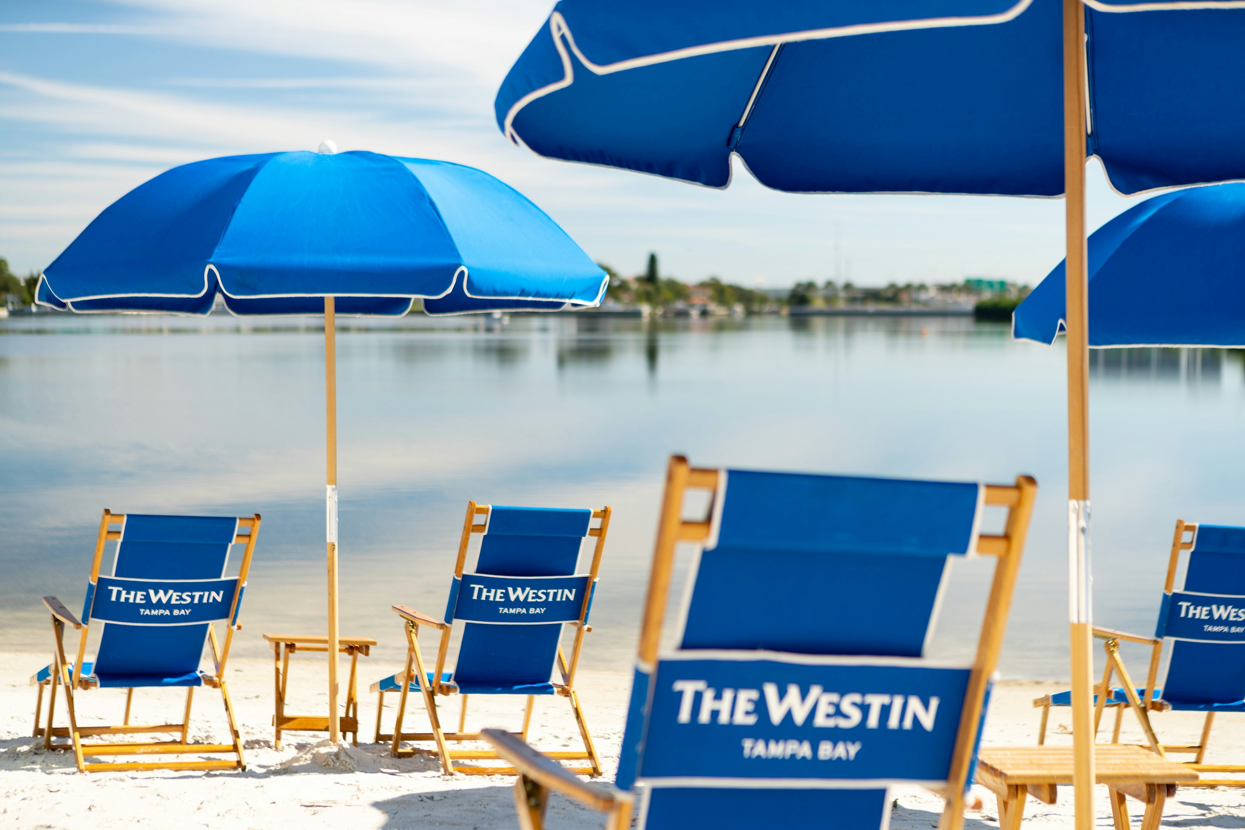 The Westin Tampa Bay 10/10
