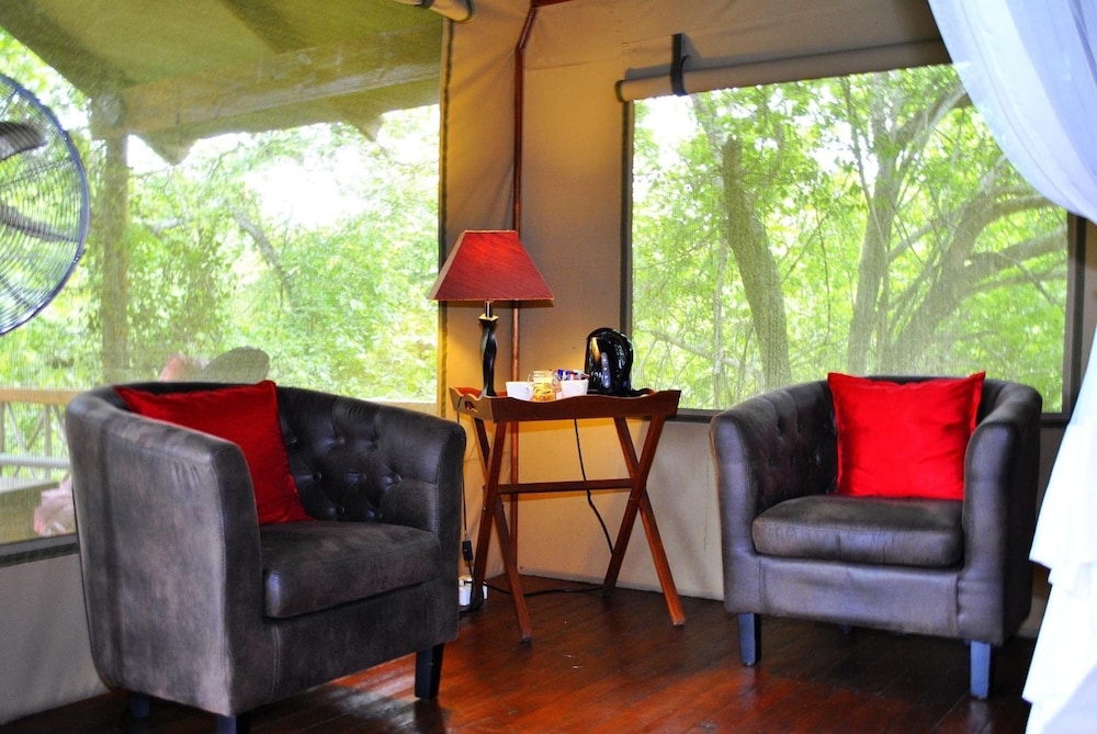 Lion Tree Top Lodge 16/36