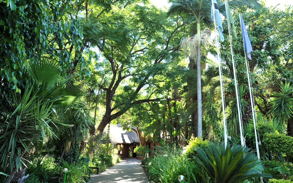 surroundings