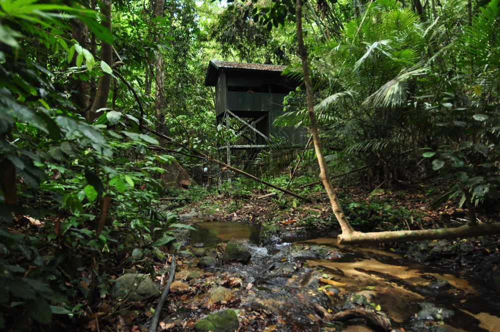 Belum Rainforest Resort 39/50