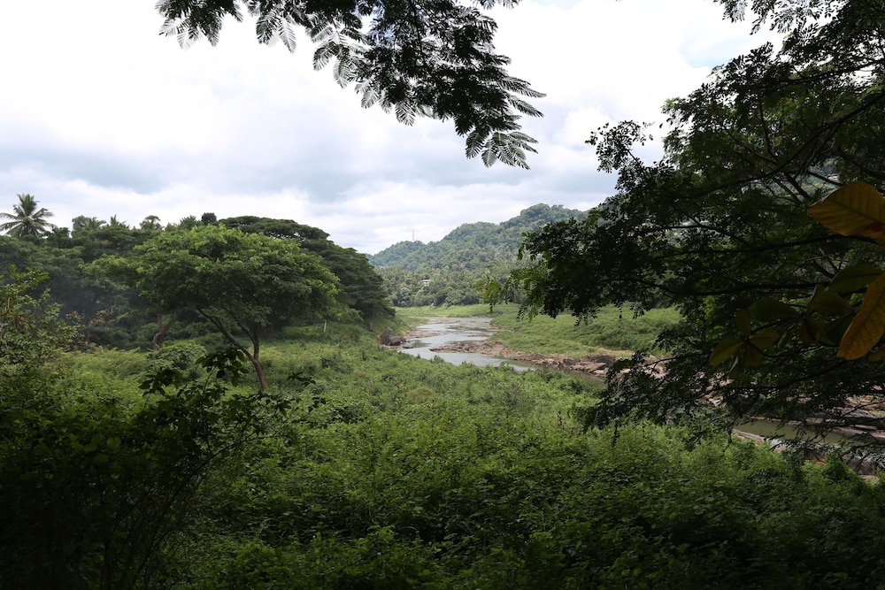 Riverside Homestay Apartments 24/27