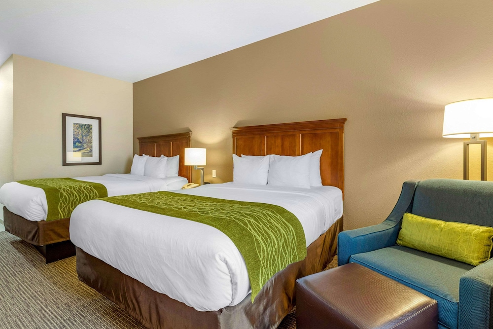 Comfort Inn and Suites Davenport Quad Cities 18/41
